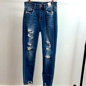 Judy Blue Distressed Skinny Jeans